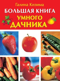 БОЛЬШАЯ КНИГА УМНОГО ДАЧНИКА